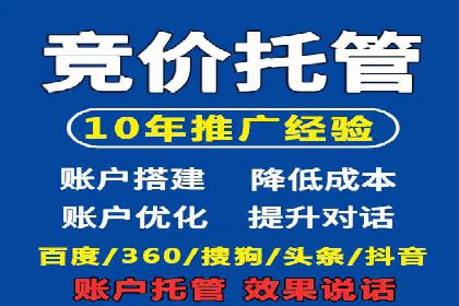 行业领先！专业SEM托管的成功实践案例